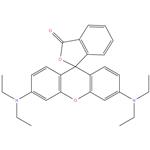 Rhodamine B base