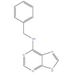 6-Benzylaminopurine, 99%