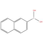 2-Naphthaleneboronic acid, 95%