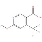 6-methoxy-4-(trifluoromethyl)nicotinic acid