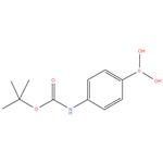 4-(N-Boc-amino)phenylboronic acid