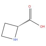 (2R)-azetidine-2-carboxylic acid