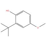 2-T-BUTYL-4-METHOXYPHENOL