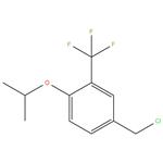 4-(chloromethyl)-1-isopropoxy-2-(trifluoromethyl)benzene