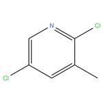 2,5-di chloro-3-methyl pyridine