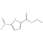 5-nitro-1H-pyrrole-2-carboxylate