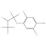 2,5-Dichloro-4-(1,1,2,3,3,3-hexafluoro-propoxy)-phenylamine