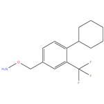 O-(4-cyclohexyl-3- (trifluoromethyl)benzyl)hydroxylamine