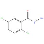 2,5-Dichlorobenzhydrazide-98%