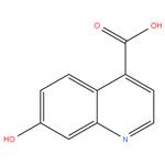 7-Hydroxyquinoline-4-carboxylic acid