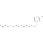 CNSL - Cashew Nut Shell Liquid