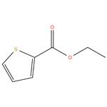 Ethyl thiophene-2-carboxylate