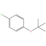 1-tert-Butoxy-4-chloro-benzene