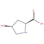 (2S,4S)-4-hydroxypyrrolidine-2- carboxylic acid; cis-4-Hydroxy-L-proline