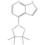 4-(4,4,5,5-Tetramethyl-1,3,2-dioxaborolan-2-yl)-1H-pyrrolo[2,3-b]pyridine