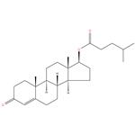 Testosterone isocaproate