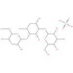 Tobramycin Sulphate