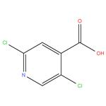 2,5-DICHLORO ISONICOTINIC ACID