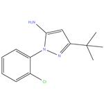 3-TERTBUTYL-1-(2-CHLORO PHENYL)-1H-PYRAZOLE-5-AMINE