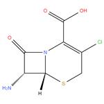 7-Amino-3-chlorocephalosporanic acid