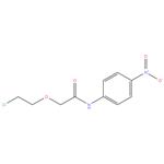 2-(2-Chloroethoxy)-N-(4-nitrophenyl)acetamide