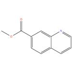 METHYL QUINOLINE- 7- CARBOXYLA TE