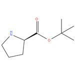 D-Proline t-butyl ester