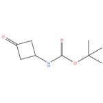 tert-butyl 3-oxocyclobutylcarbamate