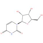 Uridine