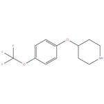 4-(4-(trifluoromethoxy)phenoxy) piperidine