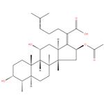 Fusidic acid