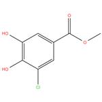 Methyl 3-chloro-4,5-dihydroxybenzoate