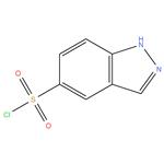 1H-Indazole-5-sulfonyl chloride