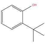 o-t-Butyl phenol