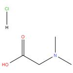 N,N-Dimethylglycine Hydrochloride