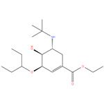 ethyl (3R,4S,5R)-5-N-(1,1-dimethylethyl)amino-3-(1-ethylpropoxy)-4-hydroxy-1-cyclohexene-1-carboxylate