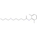 Bupivacaine EP Impurity E
6-(Butylamino)-N-(2,6-dimethylphenyl)hexanamide