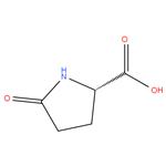 DL-PYROGLUTAMIC ACID