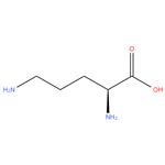 L-Ornithine