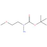 tert - butyl 1- ( 2 - methoxyethyl ) hydrazine - 1 - carboxylate