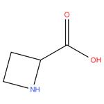 Azetidine-2-carboxylic acid