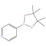 4-Pyridineboronic acid pinacol ester, 95