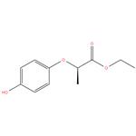 Ethyl 2(R)-(4-Hydroxy-phenoxy)-propionate