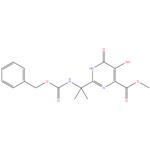 methyl 2-(2-(benzyloxycarbonyl)propan-2-yl)-5-hydroxy-6-oxo-1,6-dihydropyrimidine-4-carboxylate