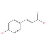 trans-4-Hydroxycinnamic acid-98%