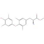 Levothyroxine Methyl Ester