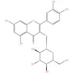 Isoquercitrin