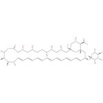 Amphotericin B Impurity B