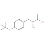 O-tert-Butyl-L-tyrosine,97%