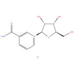 NR-CL 70%